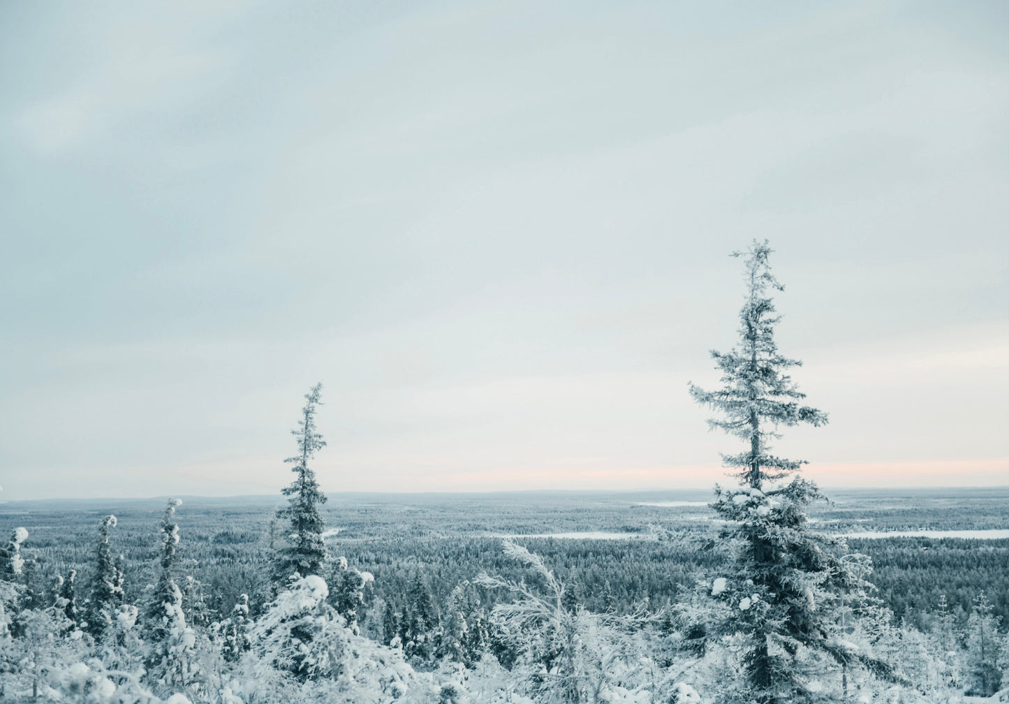 I Made This For You – Christmas Gift and Decorations Crafted with Love